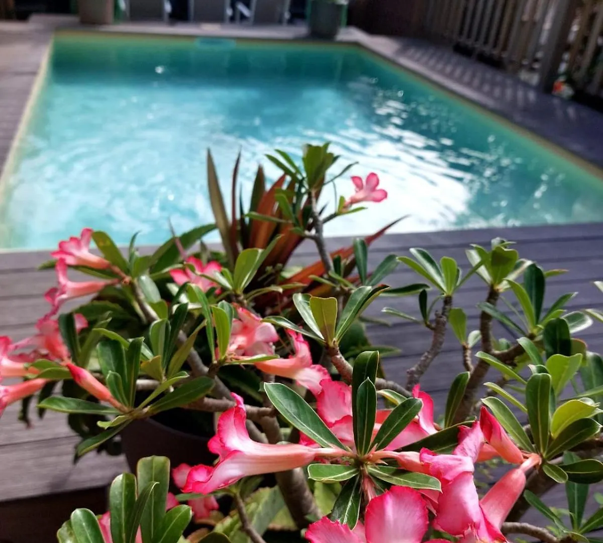 Apartment Charmant Appartement Avec Piscine A Deux Pas De La Plage Saint-Francois